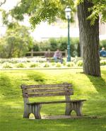 bench