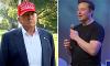 trump-musk