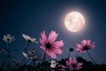 istock-1465441739