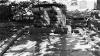 home-matlovich-hinh-chinh-trang-nhat-