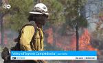 chay-rung-dwnews